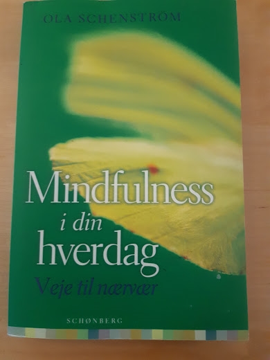 Schenström, Ola: Mindfulness i din hverdag