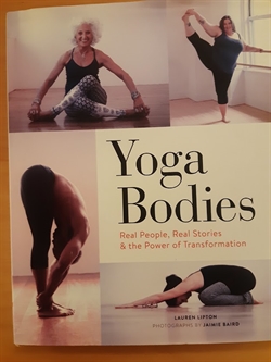Lipton, Lauren: Yoga bodies - (BRUGT - VELHOLDT)
