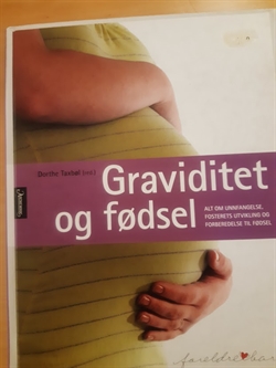 Taxbøl, Dorthe: Graviditet og fødsel - (BRUGT - VELHOLDT)