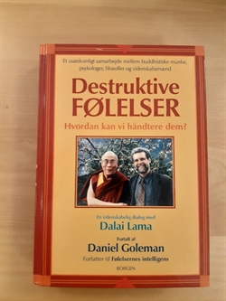 Goleman, Daniel: Destruktive følelser  - (BRUGT - VELHOLDT)