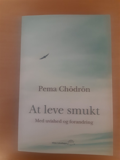 Chödrön, Pema: At leve smukt - (BRUGT - VELHOLDT)