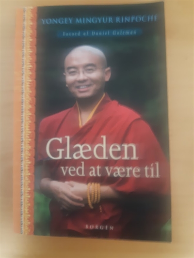 Yongey Mingyur Rinpoche: Glæden ved at være til - (BRUGT - VELHOLDT)