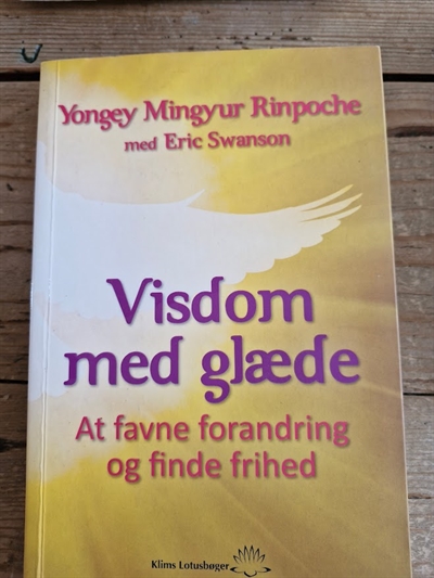 Yungey Mingyur Rinpoche: Visdom med glæde - (BRUGT - VELHOLDT)