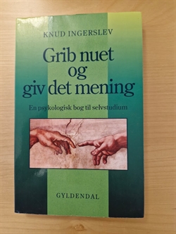 Ingerslev, Knud: Grib nuet og giv det mening  - (BRUGT - VELHOLDT)