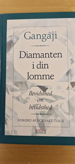 Gangaji: Diamanten i din lomme  - (BRUGT - VELHOLDT)