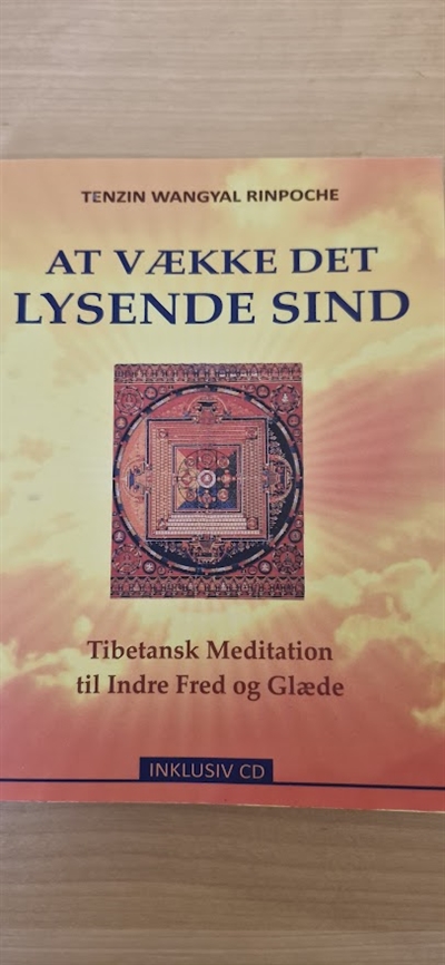 Rinpoche, Tenzin Wangyal: At vække det lysende sind - (BRUGT - VELHOLDT)